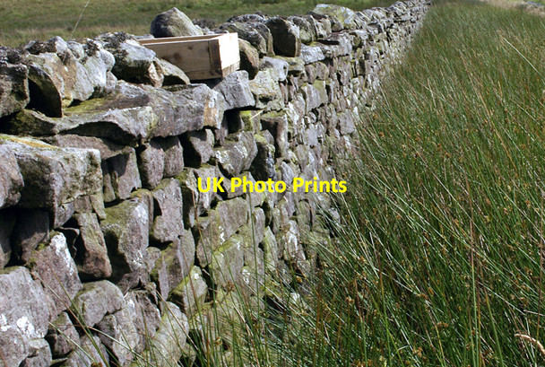 Photo 6"x4" Grouse Grit box Abbeystead c2007