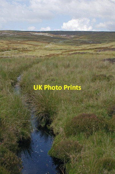 Photo 6"x4" Grizedale Brook Tarnbrook c2007