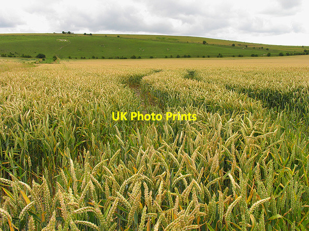 Photo 6"x4" Farmland near Pewsey Hill Southcott\/SU1759 c2007