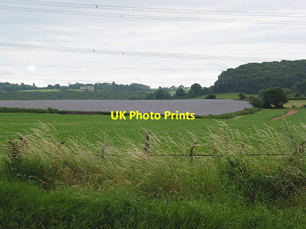 Photo 6"x4" Farmland by the A40... Lea\/SO6521 c2007