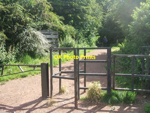 Photo 6"x4" Into the oak wood Bloxwich c2007