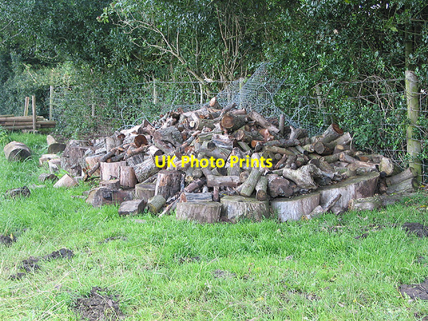Photo 6"x4" Timber pile in the orchard Ross-on-Wye c2007