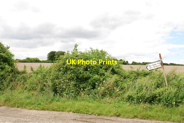 Photo 6"x4" The Ox Drove begins Bishopstone\/SU0725 c2007
