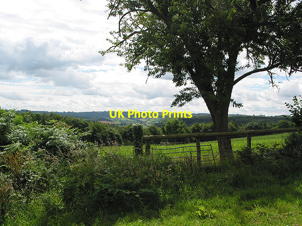 Photo 6"x4" View towards the Forest of Dean from Penyard Hill Ross-on-Wye c2007