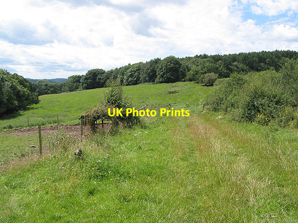 Photo 6"x4" Footpath near Lawns Farm Ross-on-Wye c2007