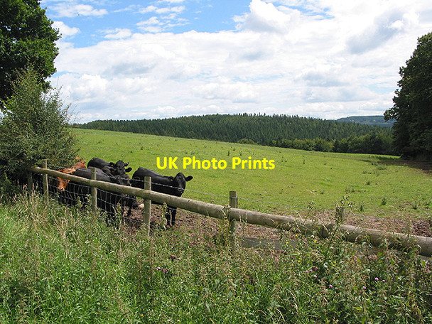 Photo 6"x4" View near Lawns Farm... Ross-on-Wye c2007