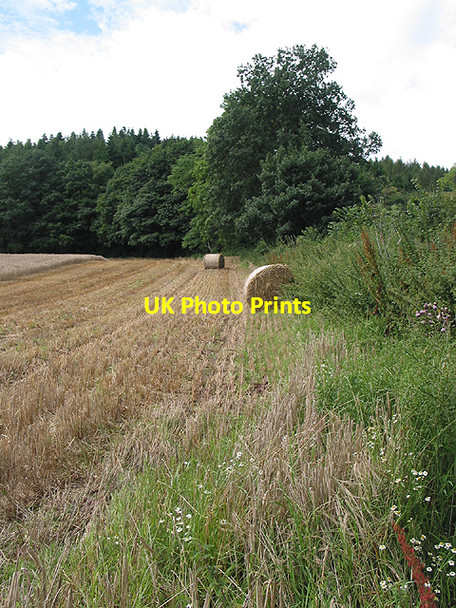 Photo 6"x4" Barley field above Weston-under-Penyard Ross-on-Wye c2007