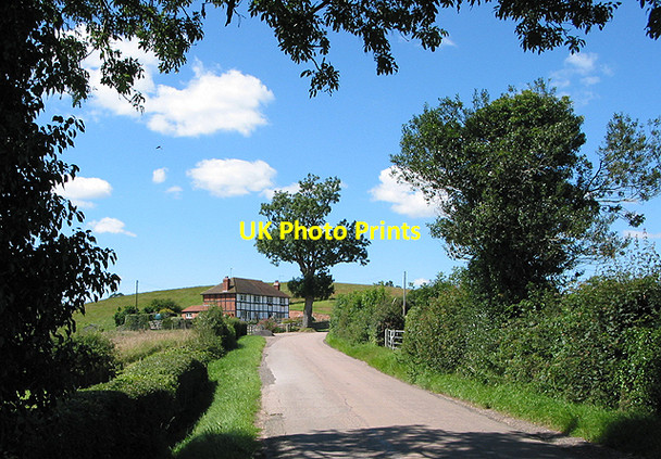 Photo 6"x4" Country road near Tiller's Green Tillers' Green c2007