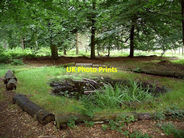 Photo 6"x4" Little pond Kings Clipstone c2007