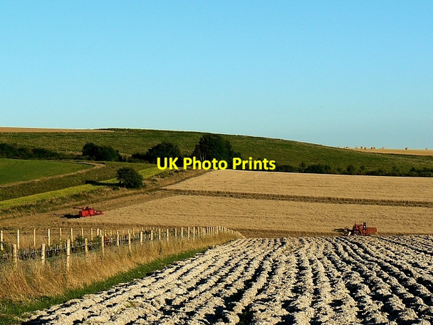 Photo 6"x4" Farmland and harvesting, south of Easton Royal Easton Royal c2007
