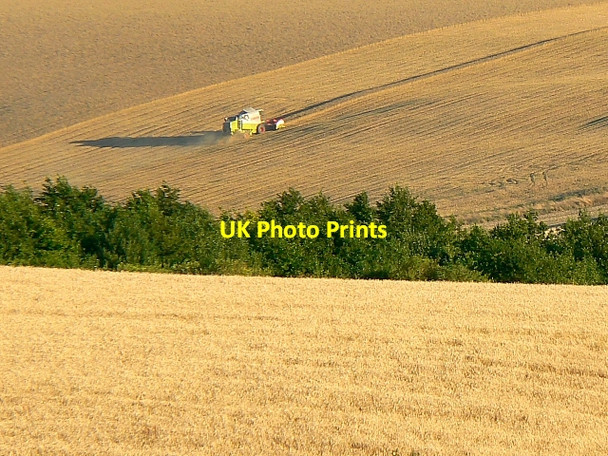 Photo 6"x4" Harvesting, south of Easton Royal Easton Royal c2007