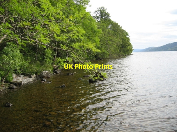 Photo 6"x4" Northern shore of Loch Ness Fort Augustus c2007