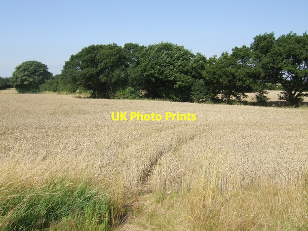 Photo 6"x4" Farmland north of Pelsall Common North Bloxwich c2007