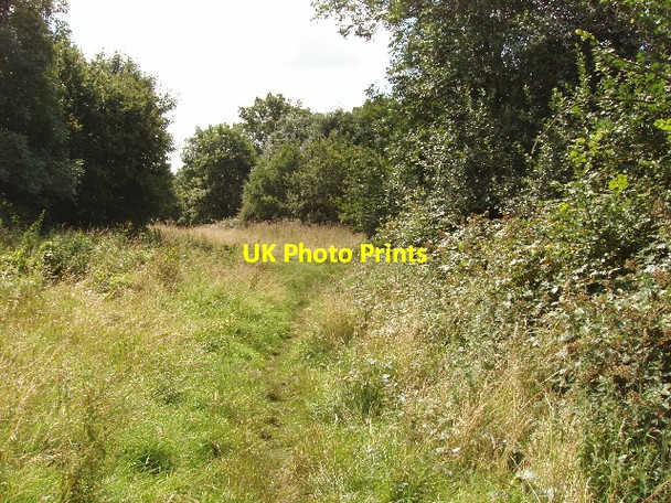 Photo 6"x4" Footpath from Beacon Hill to Loudwater Beacon Hill\/SU9093 c2007