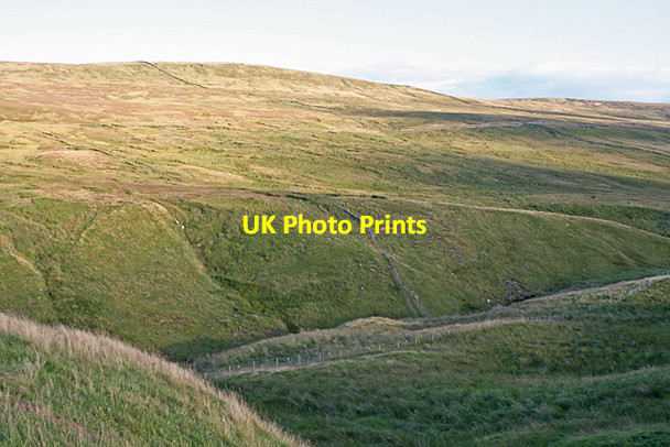 Photo 6"x4" The Swinhope Burn Daddry Shield c2007