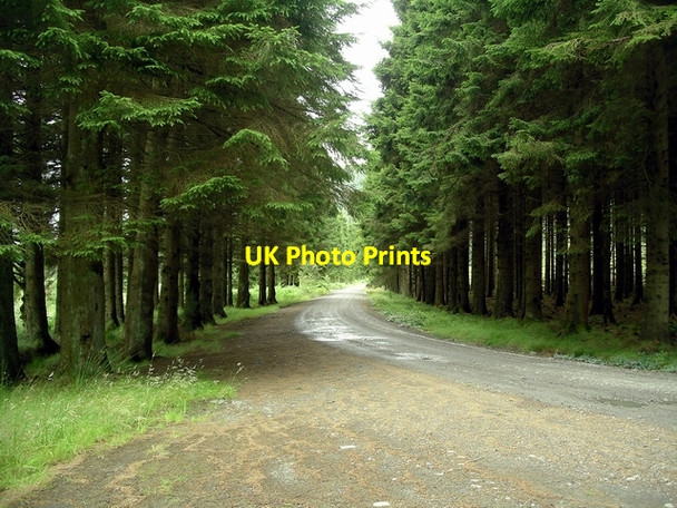 Photo 6"x4" The Raiders Road Otter Poo c2007