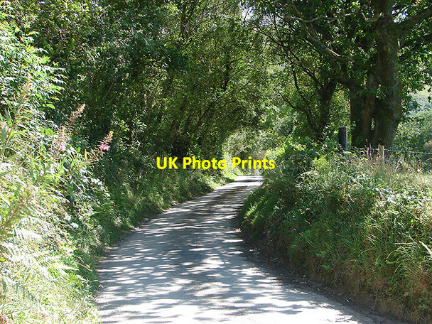 Photo 6"x4" Lane to Cwm-y-Ffynnon Pandy\/SH9004 c2007