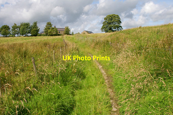 Photo 6"x4" Bridleway to Higher Greystoneley Fair Oak\/SD6446 c2007