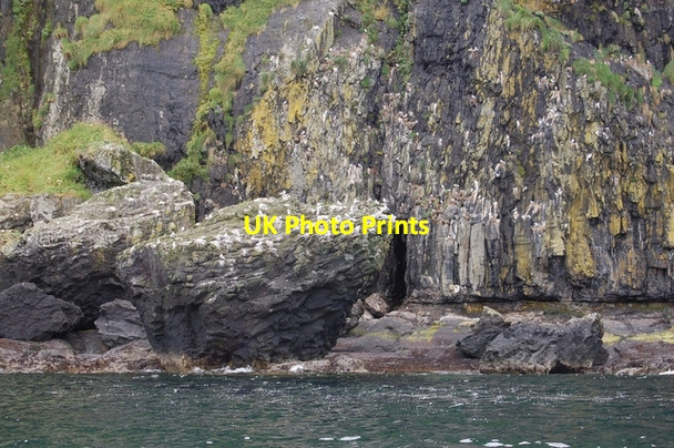 Photo 6"x4" Kittiwakes on the cliffs at Sloc a' Ghallubhaich A' Chill c2007