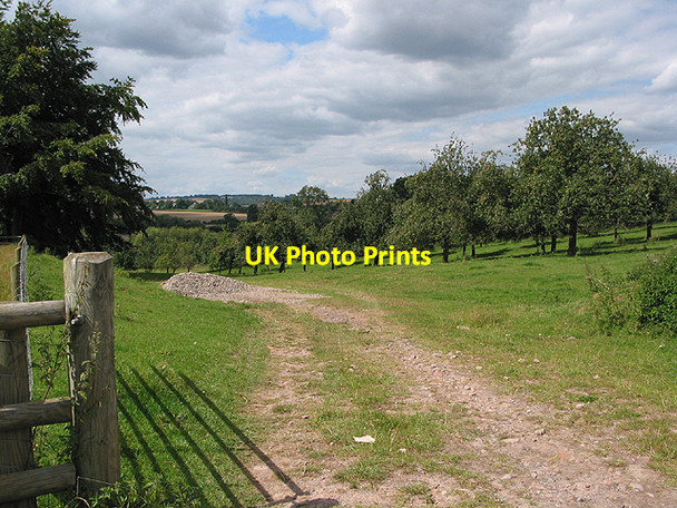 Photo 6"x4" Orchard at Baysham Baysham c2007