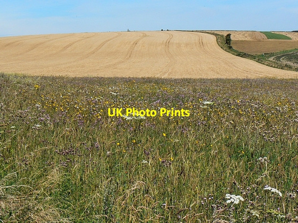 Photo 6"x4" Environmental margin south of Bratton Bratton\/ST9152 c2007
