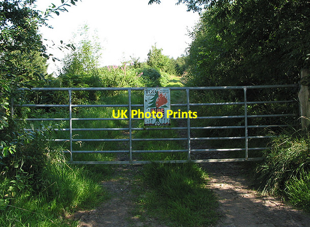Photo 6"x4" Gated entrance to private woodland. Luxley c2007