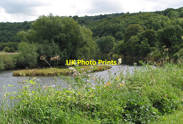 Photo 6"x4" Small island in the Wye... Lower Lydbrook c2007