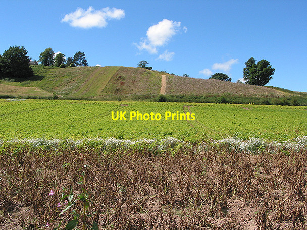 Photo 6"x4" Flowers on the floodline Goodrich c2007