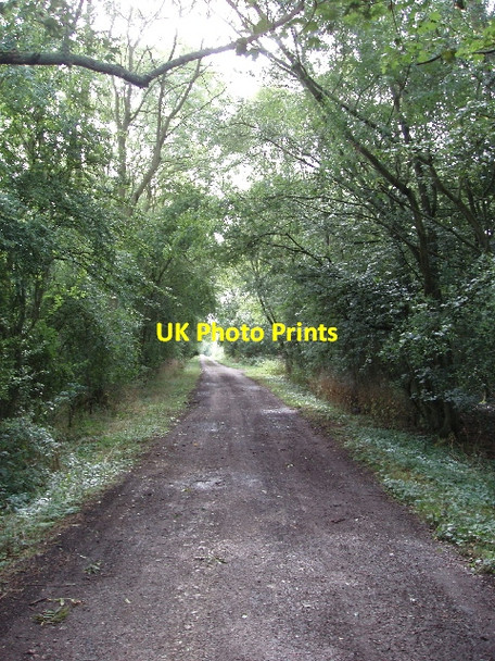 Photo 6"x4" Road by Bearshank Wood Wadenhoe c2007