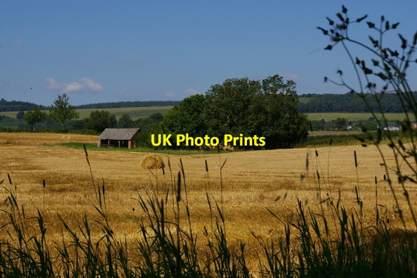 Photo 6"x4" Small barn & field Bircher c2007