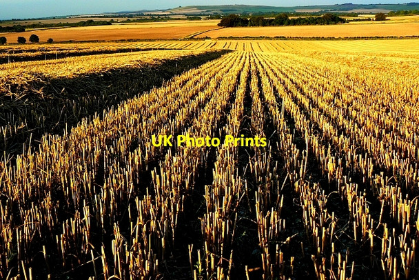 Photo 6"x4" Harvested wheat field south of Wroughton Uffcott c2007