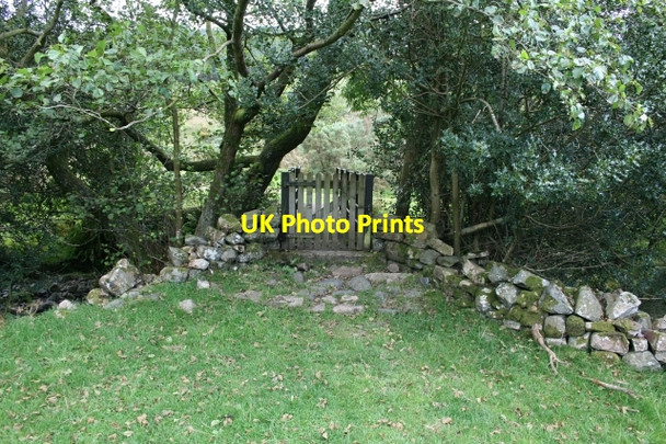 Photo 6"x4" Footbridge Over the Mite. Eskdale Green c2007