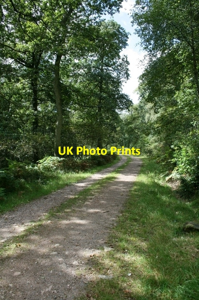 Photo 6"x4" Where Path Meets Road. Eskdale Green c2007