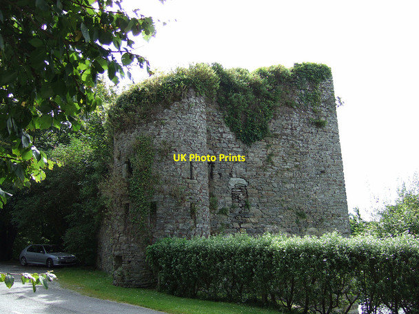 Photo 6"x4" Castles of Munster: Poulnalong, Cork Inishannon c2007