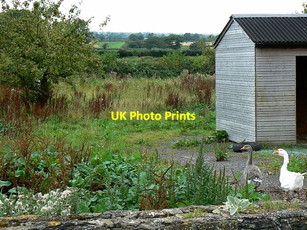 Photo 6"x4" Grove Farm, Blunsdon, Swindon Blunsdon St Andrew c2007