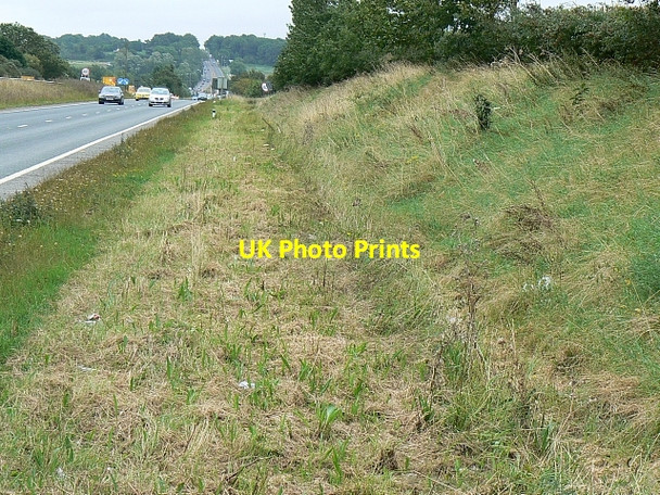 Photo 6"x4" Grass verge, A419 north of Blunsdon, Swindon Lower Blunsdon c2007