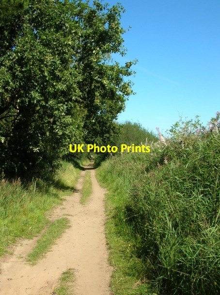Photo 6"x4" Path along Holkham Gap Wells-Next-The-Sea c2007