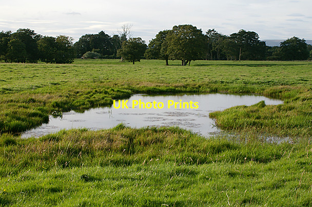 Photo 6"x4" Watering Hole Balderstone\/SD6332 c2007