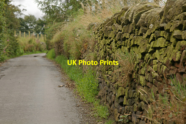 Photo 6"x4" Chapels Lane Tockholes c2007