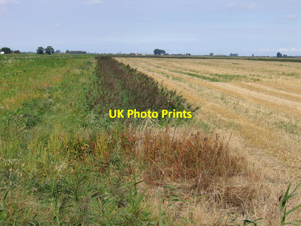 Photo 6"x4" Fenland landscape from Benwick Road, Whittlesey, Cambs Benwick c2007