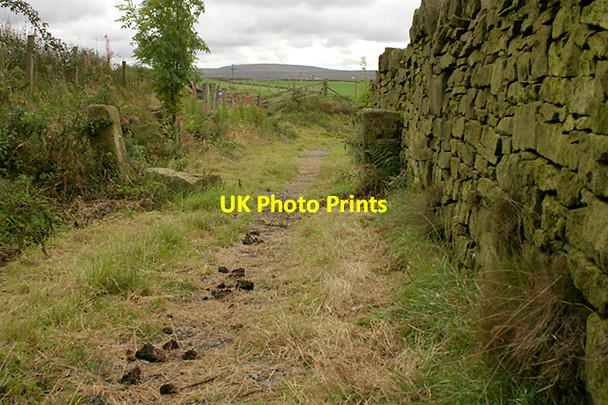 Photo 6"x4" Coal Pit Lane Tockholes c2007