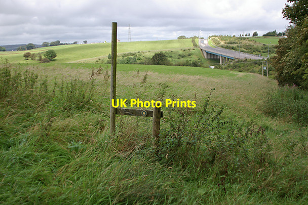 Photo 6"x4" Not a well trodden path Tockholes c2007