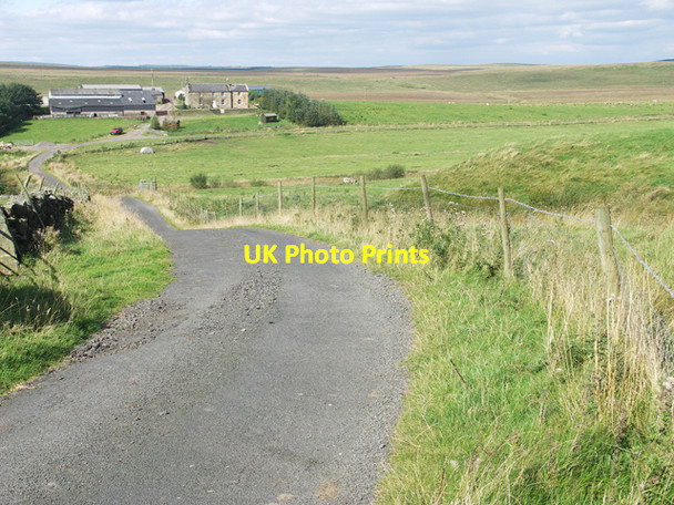 Photo 6"x4" Low Tipalt from Hangingshields Rigg Greenhead\/NY6665 c2007