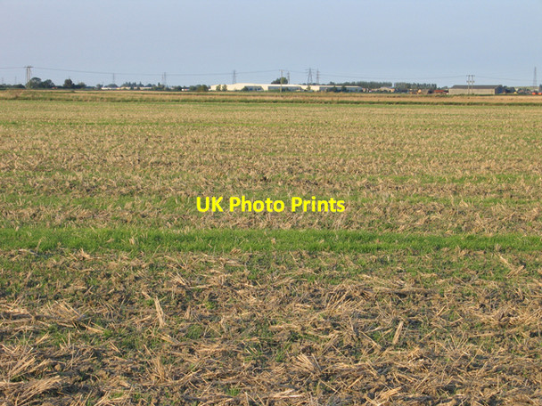 Photo 6"x4" Botany Bay, March, Cambs Knight's End c2007