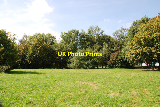 Photo 6"x4" Five Bridges picnic area Lower Nyland c2007 P1