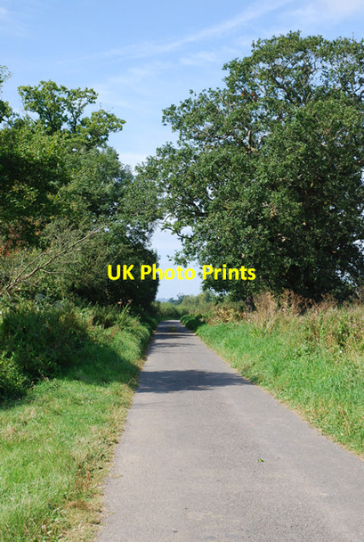 Photo 6"x4" Park Lane Henstridge Ash c2007