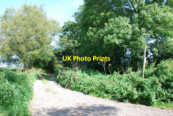 Photo 6"x4" Broadmead Lane (Track) Henstridge Ash c2007