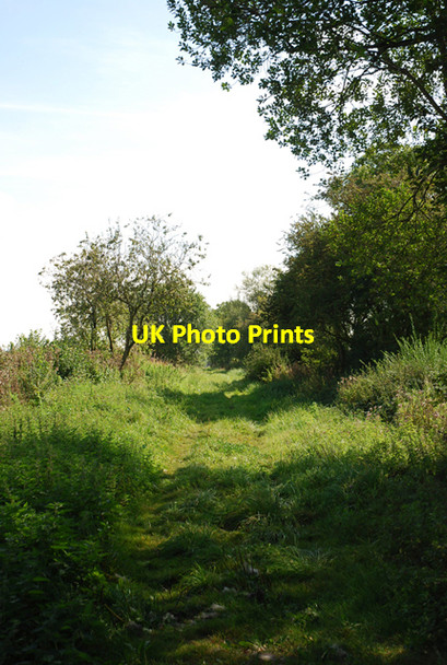 Photo 6"x4" Route of dismtd rly Henstridge Ash c2007