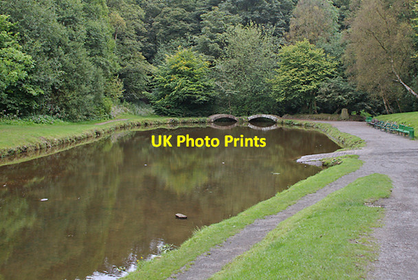 Photo 6"x4" Pond in the wood Darwen c2007