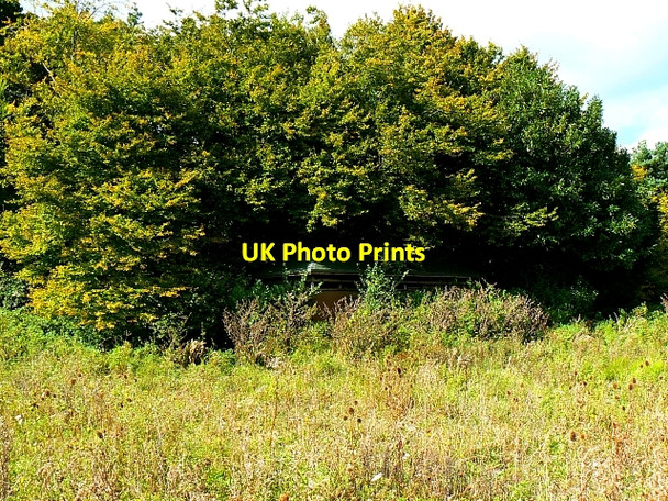 Photo 6"x4" Birdwatching hide, Chew Valley Lake, Somerset Herons Green c2007